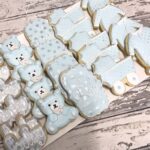 Baby Boy Shalom Zachor Cookie Assortment