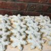 Snowflake Cookies - Snowflakes - winter wonderland cookie favors - cookies - Image 2