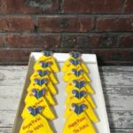 Purim Alice in Wonderland Dress cookie favors- Kosher - Handmade - 1 Dozen