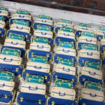 Travel suitcases traveling suitcase cookie favors- Kosher - Handmade - 1 Dozen
