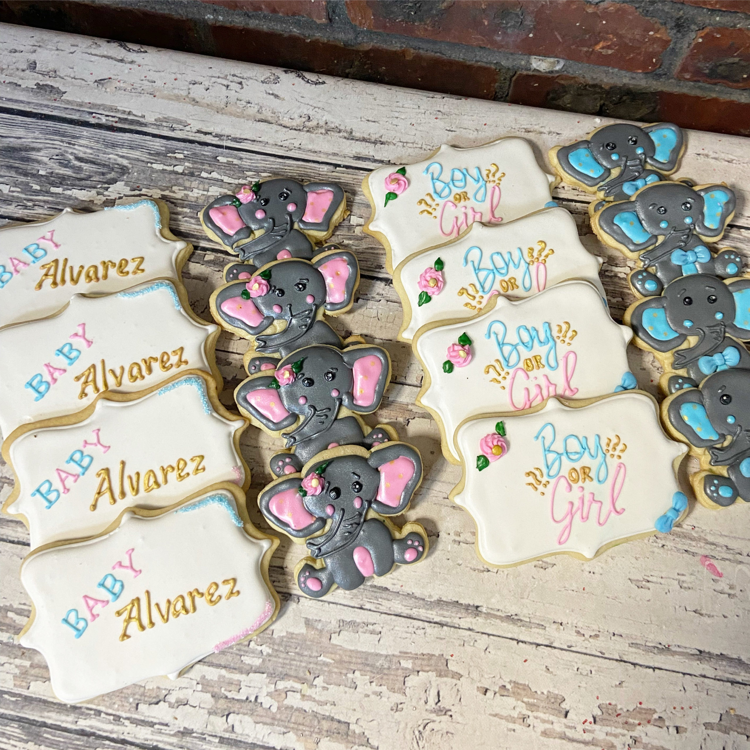 Baby shower gender reveal elephant cookies