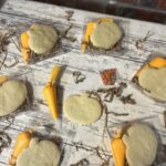 Thanksgiving pumpkin or turkey fall cookie kit diy cookie