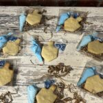 Chanukah Hanukkah dreidel diy decorate cookie kit diy cookie