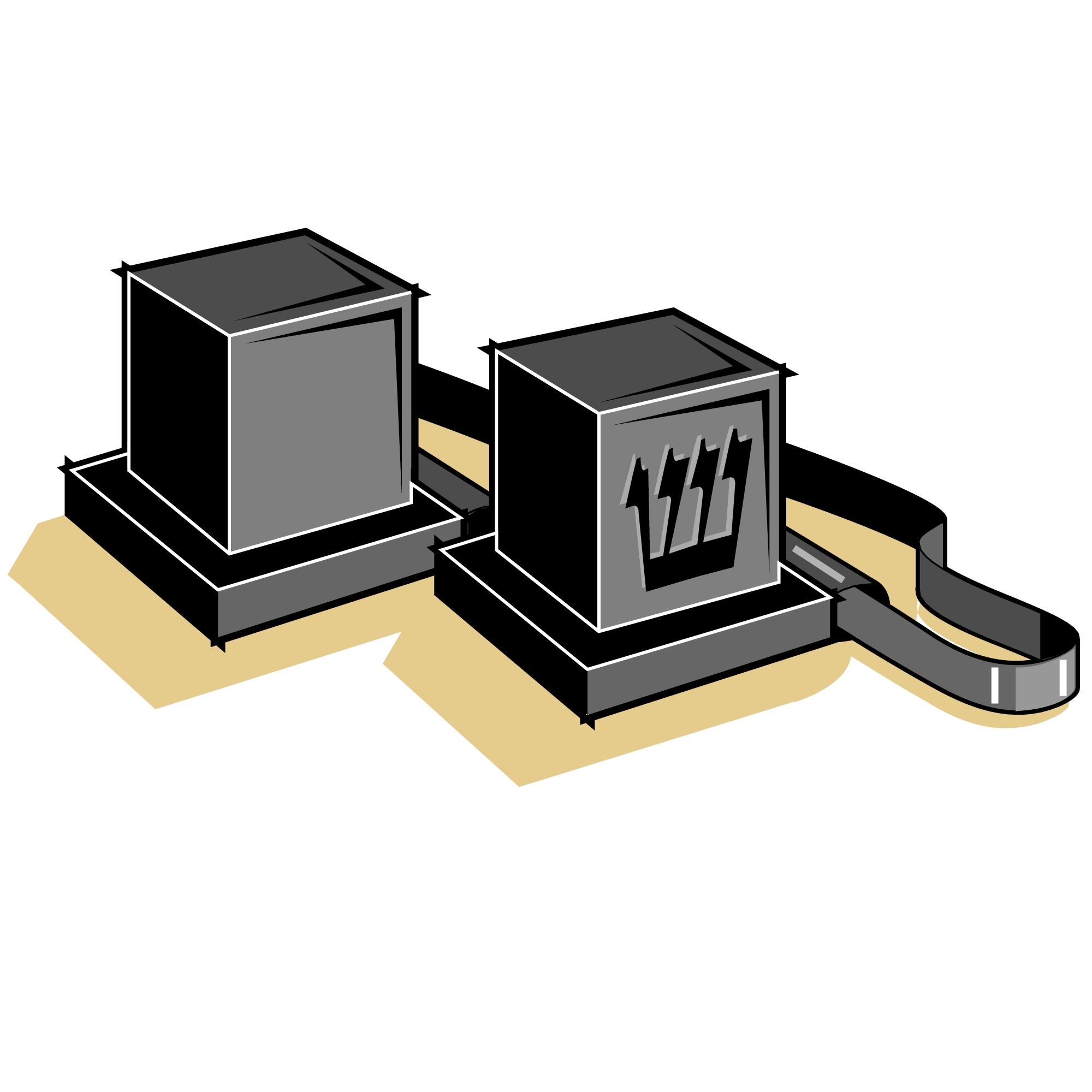 Eli Adler Bar Mitzvah Chip in